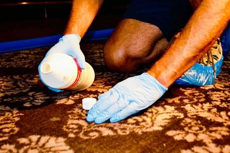 Remove stains, eliminate odours and restore freshness with Bright & Kind's professional carpet cleaning service.